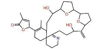 Gymnodimine E